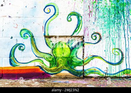 Peinture graffiti sur un mur laissé par une jeune artiste inconnue. Une pieuvre verte à sept pattes sur un mur blanc sur le front de mer de Herne Bay. Banque D'Images