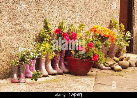 Une rangée de bottes en caoutchouc et un pot de plante rempli décorativement de terre et de plantes en croissance sur le chemin à l'extérieur d'une propriété à Stomness, Orcades, Royaume-Uni Banque D'Images