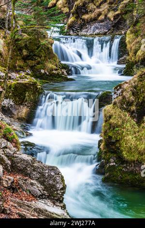 Cascade Rottach près du lac Tegernsee en hiver, Rottach-Egern, Bavière, Allemagne, verticale Banque D'Images