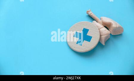 Journée mondiale de la pneumonie, journée de la tuberculose, journée de la santé pulmonaire, journée de l'asthme. Examen médical. Banque D'Images