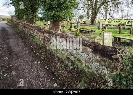 L'effet de la croissance du lierre sur l'intégrité d'un mur de pierres sèches. Ivy Clearance long Preston Churchyard (St Marys). Banque D'Images