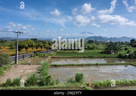 Paysage de drones aériens de rizières à Bali Indonésie Banque D'Images