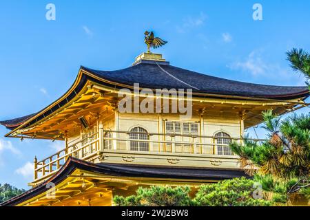 Pavillon d'or Kinkaku-Ji Temple bouddhiste Kyoto Japon Banque D'Images