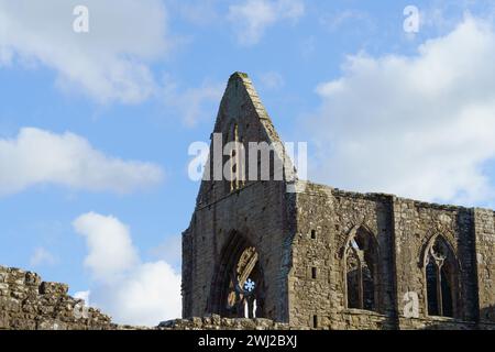 L'abbaye de Tintern, fondée en 1131, est située à côté du village de Tintern, Monmouthshire, au sud du pays de Galles, et est en cours de travaux pour la rendre stable. Banque D'Images