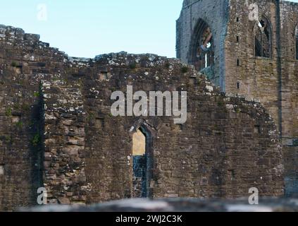 L'abbaye de Tintern, fondée en 1131, est située à côté du village de Tintern, Monmouthshire, au sud du pays de Galles, et est en cours de travaux pour la rendre stable. Banque D'Images