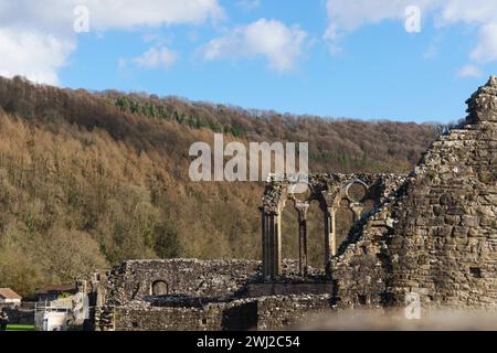 L'abbaye de Tintern, fondée en 1131, est située à côté du village de Tintern, Monmouthshire, au sud du pays de Galles, et est en cours de travaux pour la rendre stable. Banque D'Images