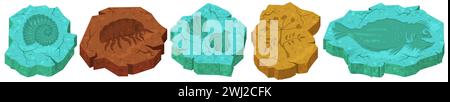 Pierres fossiles avec coléoptères, coquillages, plantes, empreintes de mollusques et silhouettes ensemble Illustration de Vecteur