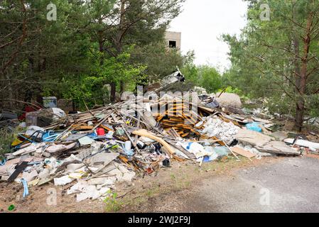 Déversement illégal de déchets volumineux dans la forêt Banque D'Images