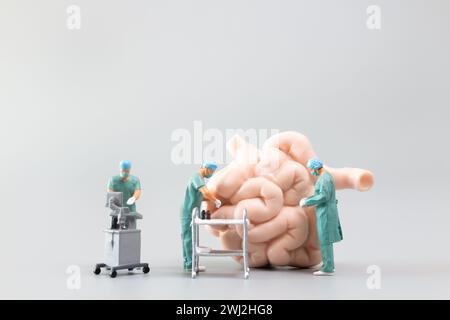 Miniature docteur vérifiant et analysant le modèle de l'intestin grêle , science et médecine concept Banque D'Images