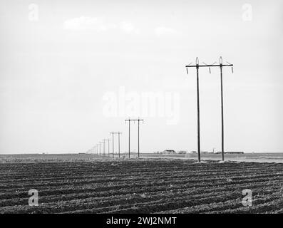 Lignes électriques le long de la route rurale dans le comté de Dawson, Texas, États-Unis, Russell Lee, U.S. Farm Security Administration, mars 1940 Banque D'Images