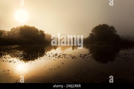 Brouillard sur l'eau et roseau au lever du soleil et à l'aube du matin. Réflexion des arbres dans l'eau. Matin Banque D'Images