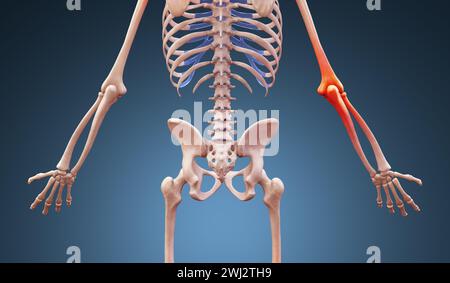 3d rendu illustration d'une anatomie humaine avec douleur au coude Banque D'Images