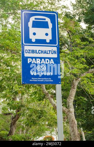 Merida Mexique, Dzibilchaltun, panneaux d'arrêt de bus de transport public informations, promotion de la publicité, latino latino hispanique mexicain, Spanis Banque D'Images