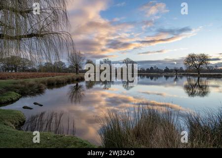 Surrey scène hivernale tôt le matin Banque D'Images