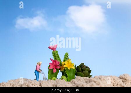 Jardinier de personnes miniatures travaillant sur des plantes de cactus Banque D'Images