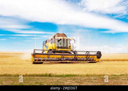 Moissonneuse-batteuse en action sur le champ de blé. Procédé de cueillette d'une récolte mûre. Machine agricole Banque D'Images