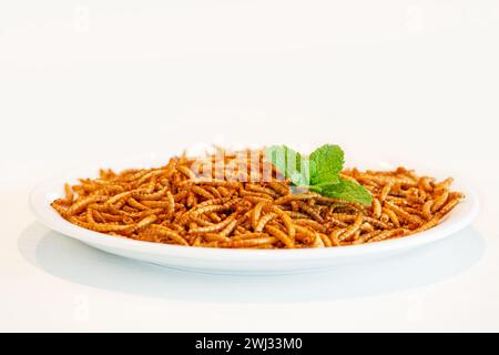 Insecte snack isolé sur plaque blanche avec décoration à la menthe. Vers de farine crustacés tenebrio molitor, Banque D'Images