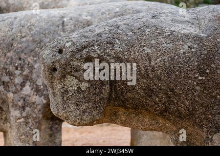 Taureaux de Guisando, groupe sculptural de Vetón, IVe et IIIe siècles av. J.-C., âge du fer, Ávila, province de Ávila, communauté autonome de Castilla y León, Spai Banque D'Images