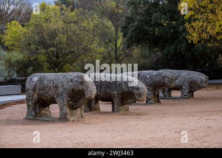 Taureaux de Guisando, groupe sculptural de Vetón, IVe et IIIe siècles av. J.-C., âge du fer, Ávila, province de Ávila, communauté autonome de Castilla y León, Spai Banque D'Images