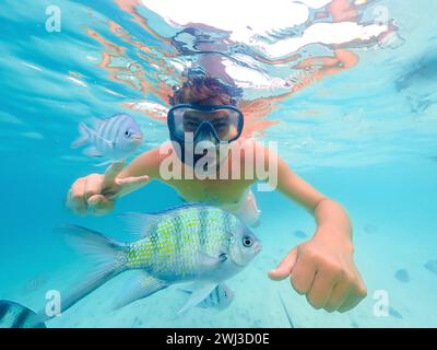 Plongée en apnée à Samaesan Thailand plongez sous l'eau avec des poissons dans la piscine de la mer de récif corallien Banque D'Images