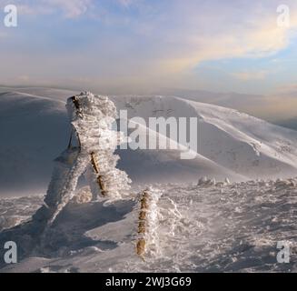 Panneau enneigé et montagnes d'hiver dans la lumière du soleil de la dernière soirée. Magnifique crépuscule venteux sur les sommets au-dessus du pittoresque SK alpin Banque D'Images