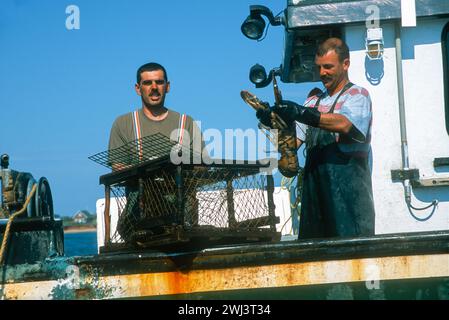 Homard au large de la côte du cap aux meules, Isles d'Madeleine, Îles de la Madeleine, dans le golfe du Saint-Laurent, Québec, Canada Banque D'Images