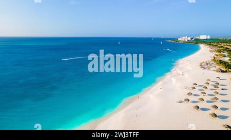 Eagle Beach Aruba, palmiers sur le rivage de Eagle Beach à Aruba, Banque D'Images