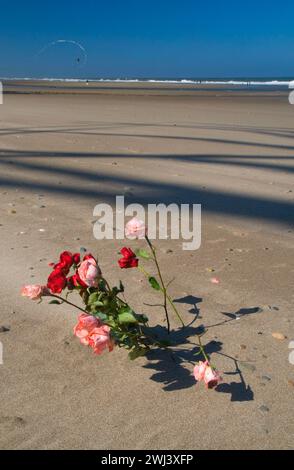 Roses sur plage, Dee River State Park, Lincoln City, Oregon Banque D'Images