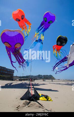 Octopus kites, Lincoln City Summer Festival du cerf-volant, Dee River State Park, New York Banque D'Images