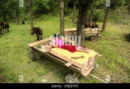 Andreiasu, comté de Vrancea, Roumanie, approx. 1992. Femme allongée sur un chariot en bois garé sur une zone désignée à l'extérieur d'une foire locale. Banque D'Images