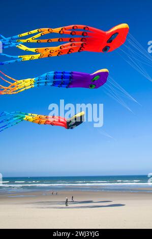 Octopus kites, Lincoln City Summer Festival du cerf-volant, Dee River State Park, New York Banque D'Images