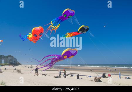 Octopus kites, Lincoln City Summer Festival du cerf-volant, Dee River State Park, New York Banque D'Images