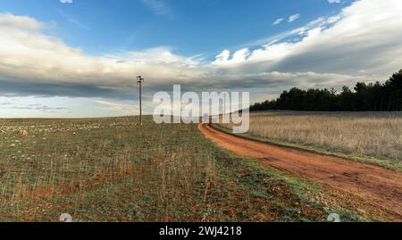 Route de terre rouge menant à travers les champs de calcaire arides du parc Naitonal d'Alta murgia dans le sud de l'Italie Banque D'Images