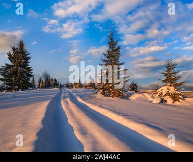 Collines enneigées d'hiver, pistes sur le chemin de terre rural et arbres dans la dernière soirée coucher du soleil lumière du soleil. Petit village alpin tranquille outskir Banque D'Images