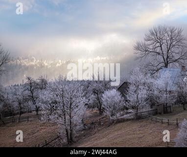 L'hiver approche.Scène pittoresque avant le lever du soleil au-dessus de la fin de l'automne campagne de montagne avec du givre sur les herbes, les arbres, les pentes.PE Banque D'Images