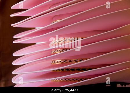Chapeaux occidentaux ou de cow-boy dans le magasin de vêtements - Dallas, Texas Banque D'Images