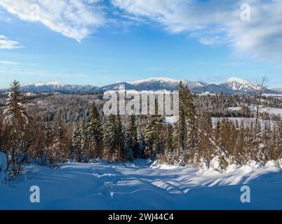 En hiver, les environs isolés des villages alpins, les collines de campagne, les bosquets et les terres agricoles offrent une vue depuis les pentes de montagne Banque D'Images