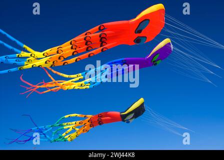 Octopus kites, Lincoln City Summer Festival du cerf-volant, Dee River State Park, New York Banque D'Images