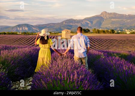 Couple marchant dans un champ de lavande en France à Valensole Provence Banque D'Images