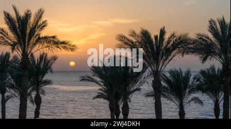 Coucher de soleil paysage du soir sur le fond de la silhouette des palmiers et de la mer Rouge avec le ciel et les nuages en Egypte Banque D'Images