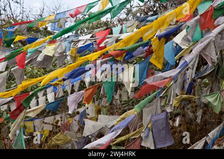 Des drapeaux de prière décorent le sommet du col de montagne, Pele la (3420m). Banque D'Images