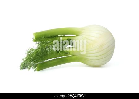 Bulbe de fenouil entier couché sur son côté sur un fond blanc. L'ampoule est principalement jaune clair, avec des nuances de vert contrastées sur les tiges et Banque D'Images