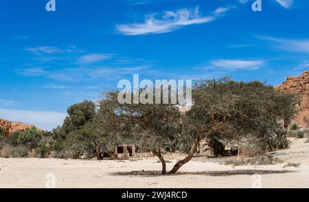 Logement bédouin dans une oasis dans le désert parmi les montagnes en Egypte Dahab Sud Sinaï Banque D'Images