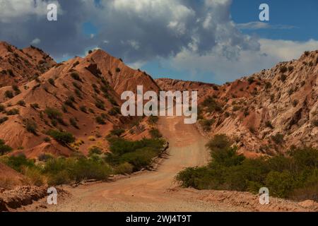 La Ruta Nacional 40 est la route nationale la plus longue d'Argentine et un itinéraire de voyage populaire avec des paysages spectaculaires Banque D'Images