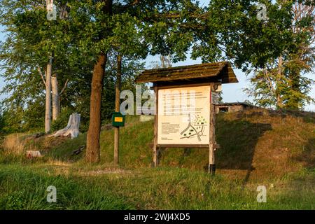 Kanonenplatz Schanze Stiege Harz Banque D'Images