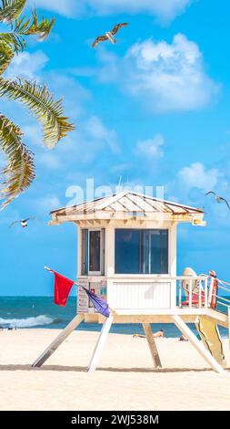 Plage en bord de mer avec des palmiers sur une journée ensoleillée à fort Lauderdale avec mouettes Banque D'Images