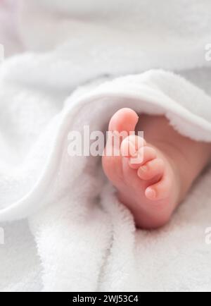 Les premiers pas de bébé : pied minuscule dévoilé d'une serviette blanche Banque D'Images