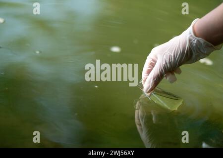 Échantillonnage de l'eau à des fins d'analyse. Etude de la qualité des déchets et de l'eau potable. Analyse de l'eau Banque D'Images