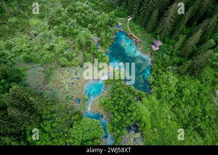 Réserve naturelle de Zelenci en Slovénie. Zones humides de montagne avec lac turquoise alimenté par une source, plantes rares et échassiers. Drone aérien Banque D'Images