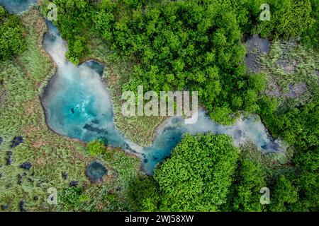 Réserve naturelle de Zelenci en Slovénie. Zones humides de montagne avec lac turquoise alimenté par une source, plantes rares et échassiers. Drone aérien Banque D'Images